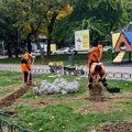 Jesenja sadnja cveća na Trgu kralja Aleksandra