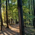 Dobrotvorna šetnja po Fruškoj gori u nedelju