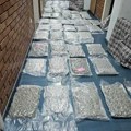 Akcija novosadske policije: U Sremskoj Kamenici zaplenjeno više od 58 kilograma marihuane, uhapšen Beograđanin