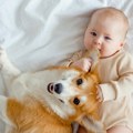 Naučnici otkrili kako psi mogu da utiču na zdravlje beba