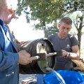 Pečenje rakije - kad se oko kazana okupe i muškarci i žene