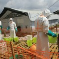 Ebola ne jenjava: Zaražena i osma provincija Konga, broj žrtava raste