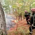 Srpski vatrogasci Na poslednjoj liniji odbrane: Besne požari u Grčkoj, u Evrosu vatra gori već 16 dana