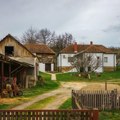 U zoru je ostala bez kapije u Medveđi i selo je momentalno znalo šta to znači - uskoro je usledila velika potraga