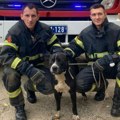 Scena koja je rasplakala Srbiju: Pas Aron izvukao živu glavu zahvaljujući herojima