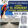 Laćarak domaćin 55. jubilarne izložbe sitnih životinja
