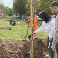 Žene koje se bore sa rakom dojke u Nišu zasadile drveće za one koje se leče i za one koje više nisu tu