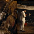 Najluđi snimak posle finala Mundijala - Zlatan razgovarao sa kozom! Pogledajte šta je Ibrahimović rekao životinji i šta se…