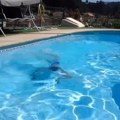 Devojčica se udavila u bazenu na odmoru u Grčkoj