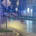 Страшне сцене из Смедерева: Срча и шут расути по центру, експлозија разнела део крова зграде