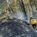 Šumski požar u Stragarima: Sprečeno da vatra zahvati kuće