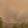 Veliki požar u prokupačkom kraju – gore šuma i voćnjaci, Radan planina u dimu