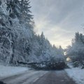 Tragedija izbegnuta za dlaku: Drvo palo na auto i preprečilo put kod Ivanjice, saobraćaj blokiran