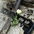 Potresna scena na grobu Kijinog oca: Grob zapušten, stric joj ne dozvoljava da ga uredi