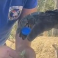 (Video) Prizor usred vatrenog pakla rasplakao Srbiju! Vatrogasac spasio bespomoćno stvorenje iz buktinje u Deliblatskoj peščari…