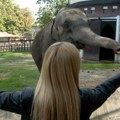 Tuga u beogradskom zoo-vrtu: Uginula slonica Tvigi