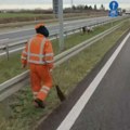 Putari jurili prase, haos na auto-putu kod Surčina: Svinja pobegla, vozači u čudu (video)