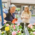 Danijela Tomić iz Zumna sa svojom porodicom tokom cele godine proizvodi cveće u 14 plastenika