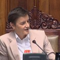 Uličarski rečnik Ane Brnabić: Sramoti Skupštinu Srbije, a drugima drži lekcije iz pristojnosti