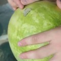 Kako da isečete lubenicu pomoću novčića od 5 dinara Trik koji će oduševiti vaše prijatelje