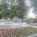 Drama u Čačku: Tokom noći u parku palo ogromno drvo, prolaznici za dlaku izbegli tragediju (foto)