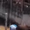 Anakonda duga 5 metara prestravila kupače na plaži: Pozvani vojni vatrogasci da je uklone