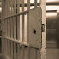 Нишки “Спајдермен” поново на слободи: браћа пљачкаши ослобођени због застареле казне