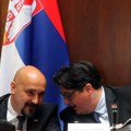 Određeno ko će iz SNS biti izvestilac za izborne zakone