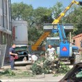 Jedno drvo manje u centru Inđije, drvo na javnoj površini uklonjeno zbog ulaza u objekat