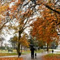 Toplotna kupola nad Evropom: Da li nam se leto vraća i kako će to uticati na zdravlje?