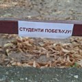 Gospodin Ciga i Gospodar