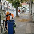 „Mediana“ nastavlja uređenje Niša: Čišćenje ulica i parkova, sadnja cveća i orezivanje drveća