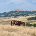 Dva veoma topla dana, za vikend osetno svežije