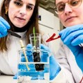 Švedski istraživači razvili bioelektronsko tlo