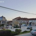Povišena koncentracija polena ambrozije u Vranju
