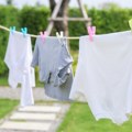 Жене у Србији полуделе за овим триком Ево како да брзо осушите веш чак и кад је хладно - потребан вам је само један предмет…