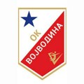 Vojvodina bira novo rukovodstvo: Izborna Skupština odbojkaškog kluba 3. novembra