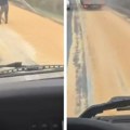 Strašan snimak na putu kod Novog Sada: Iz kamiona ispala velika količina tereta: Zbog ovoga valja biti oprezan