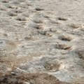 U Italiji otkrivene hiljade tragova dinosaurusa