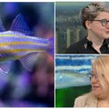 Srpski naučnici na Pragu medicinskog čuda! Lek protiv raka i bolesti srca nalazi se u akvarijumu! Doktori testiraju terapiju…