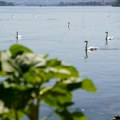 U Srbiji kišovito, na severu zemlje sunčano: temperature do 26 stepeni