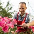 Tajno oružje: Evo zašto baštovani ostavljaju sapun u dvorištu!