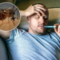 Komarci zarazili ljude opasnim virusom u ovim delovima Srbije! Obolele 2 osobe - ovako se prenosi, a jedno izbegavajte!