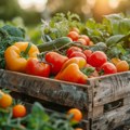 EU: Rast cena u poljoprivredi u prvom kvartalu