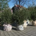 Apel građanima: Birajmo jelke sa busenom i vratimo ih prirodi nakon praznika