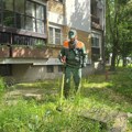 Pojačano košenje i uređenje zelenih površina širom Kragujevca