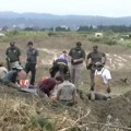 Pronađeni ostaci 117 pasa u fazama raspadanja na jednom imanju u Kaliforniji