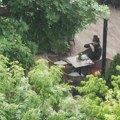 Aranđelovac pogodila snažna oluja, komunalne službe saniraju posledice: Ulice poplavljene, pokidani vodovi, dva požara VIDEO…