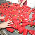 Počela potraga za paprikama za zimnicu! Kilogram na beogradskim pijacama ide i do 300 dinara: Evo gde je najjeftinija…