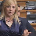 Đilas i lutovac izazvali totalni haos u DS: Tatjana Manojlović podnela ostavku, velika svađa oko mandata